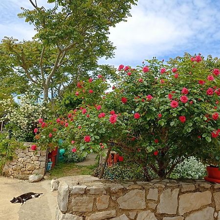 Apartmán App Bonic Veli Lošinj Exteriér fotografie