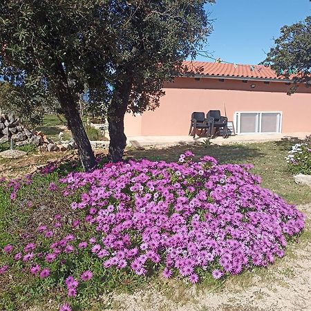 Apartmán App Bonic Veli Lošinj Exteriér fotografie