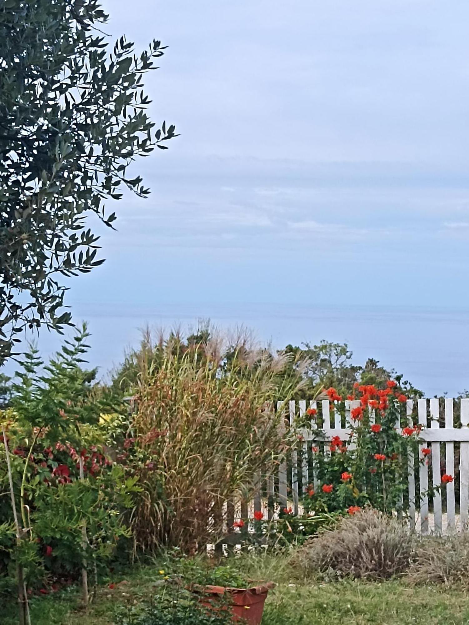 Apartmán App Bonic Veli Lošinj Exteriér fotografie
