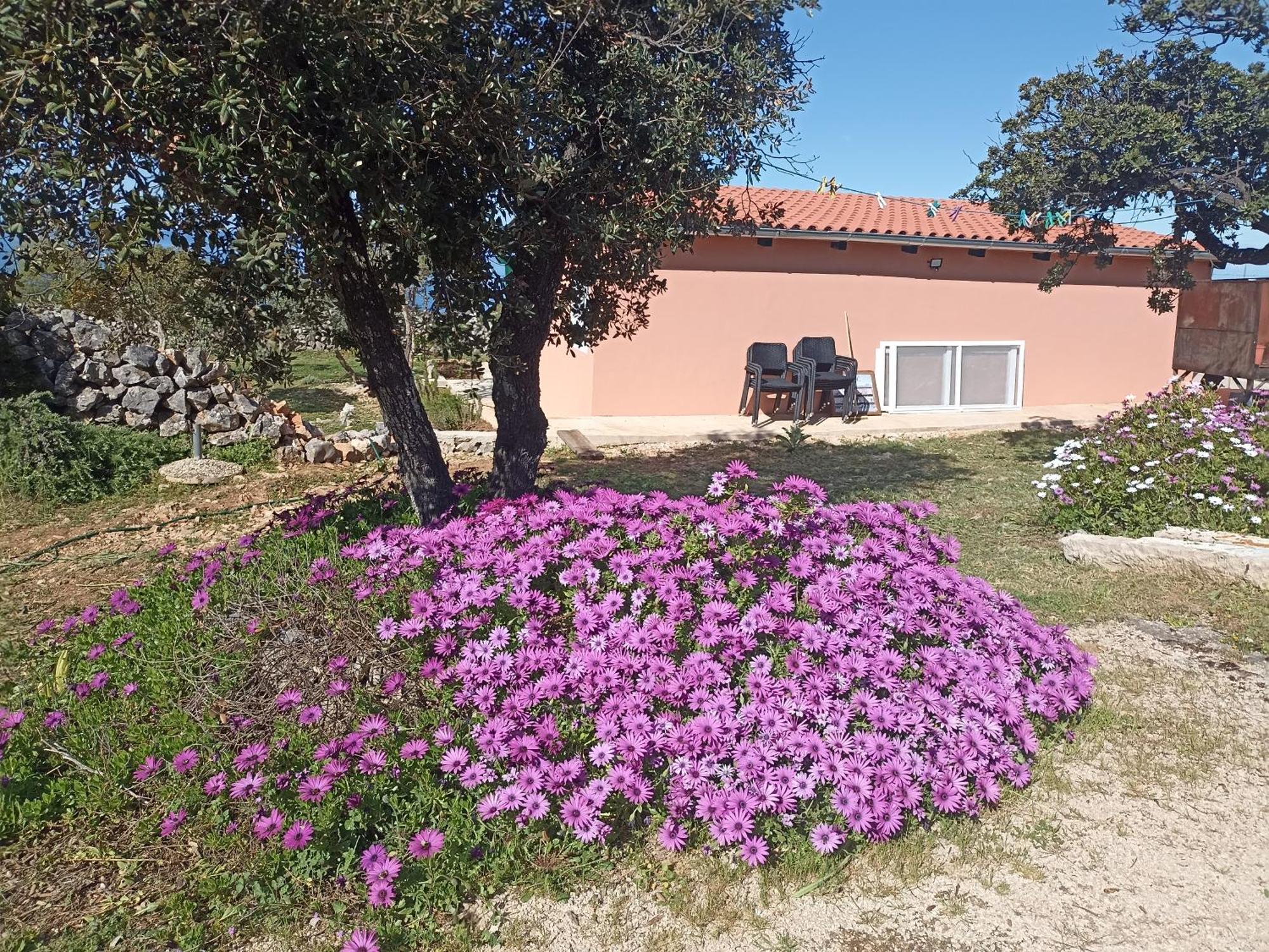 Apartmán App Bonic Veli Lošinj Exteriér fotografie